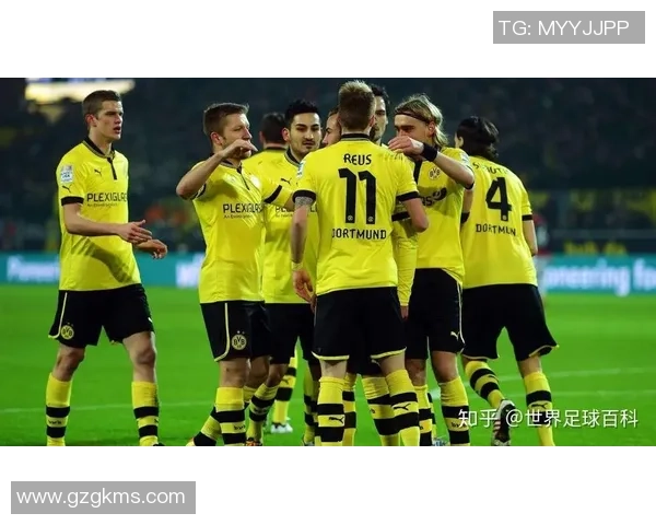 珀斯野猫与新西兰球队对决结果揭晓精彩瞬间回顾