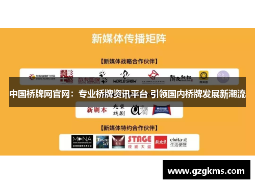 中国桥牌网官网：专业桥牌资讯平台 引领国内桥牌发展新潮流